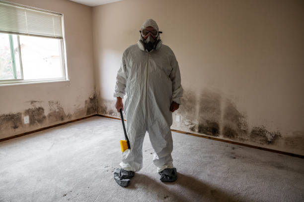 Best Mold Removal Process  in Haiku Pauwela, HI